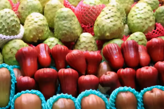 校園智慧餐飲建置