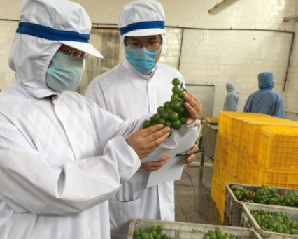 食材驗收差異怎麼處理