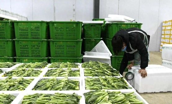 餐飲進銷存系統：菜單品項的食材用量設定